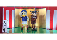 1/25(土)16:55~放送 日本テレビ「サッカー FUJI XEROX SUPER CUP 2020 応援 マスコット漫才」【放送告知】