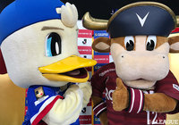 マリノスケとモーヴィが「news every.」お天気コーナーで FUJI XEROX SUPER CUP 2020 をPR!【放送告知】