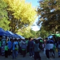 [ J2：第41節 湘南 vs 横浜FC ]　秋晴れに包まれた平塚総合公園。木々も色づいてきました。
...