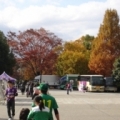 [ J2：第42節 京都 vs 岐阜 ]　メインスタンドへ続く通りに並ぶ色づいた木々。こちらも見事。来...