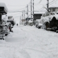[ J1：第34節 新潟 vs 柏 ]　開催が中止となった直後の新潟市内の様子。昨夜からの降雪に除雪が...